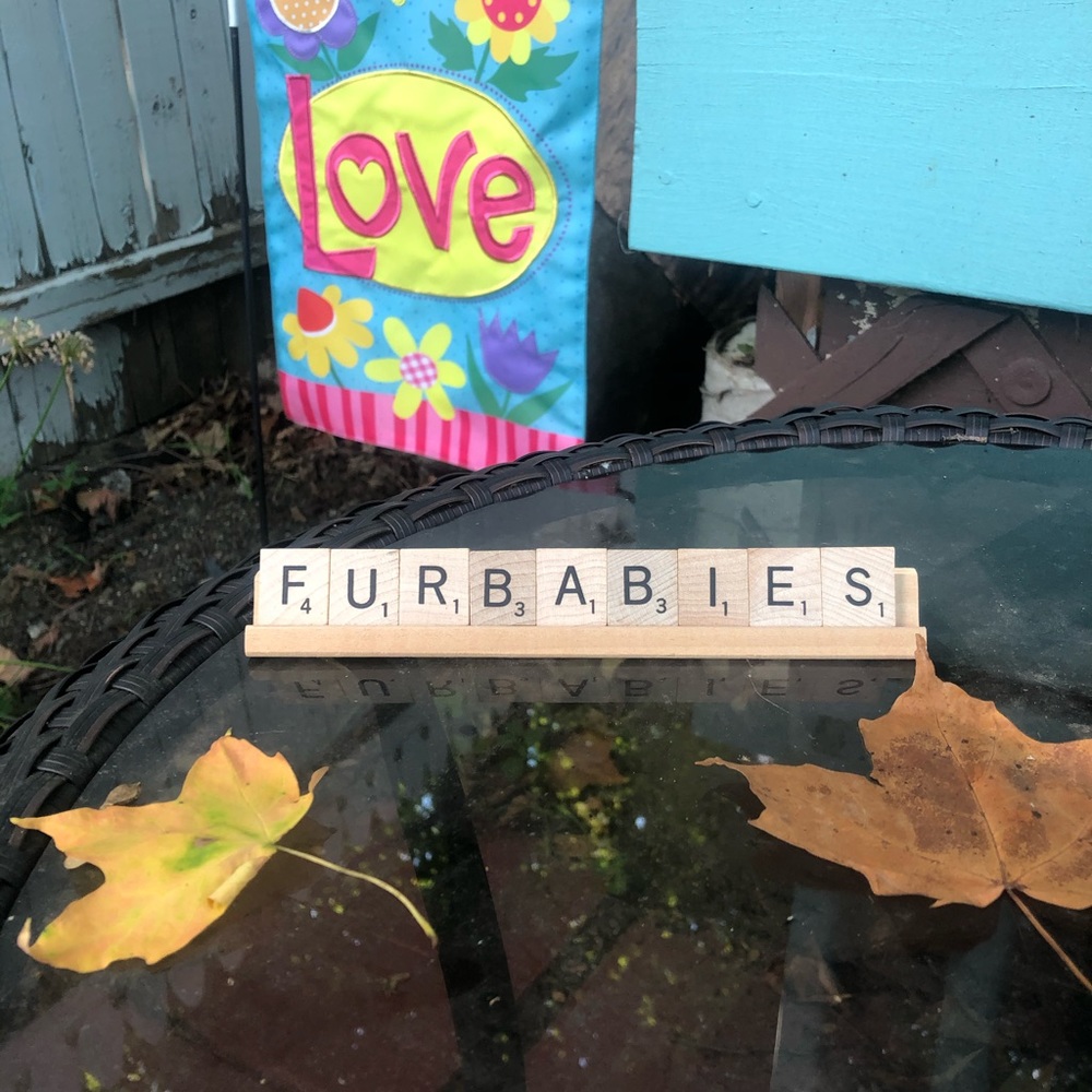 Dog/Cat Decor